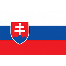 Sloveense Clubs