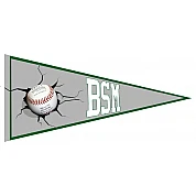 BSM Vaantje
