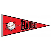 Badgers de besancon Vaantje