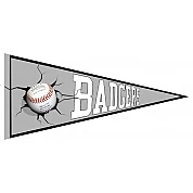 Badhoevedorp Badgers Pennant