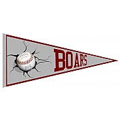 Banderin Baldham Boars
