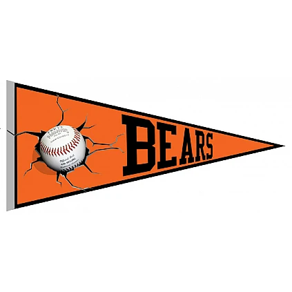 Bears Pennant