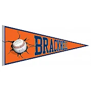 Bracknell Vaantje