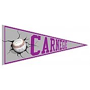 Banderin Carnegie
