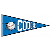 Karlsruhe Cougars Pennant