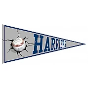 Harriers Pennant