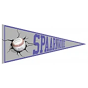 Spaarnwoude Pennant