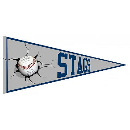 Stags Vaantje