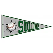 Sullivans Green Devils Pennant