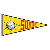 Sun Devils Vaantje