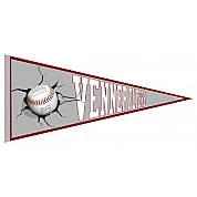 Vennep Flyers Pennant