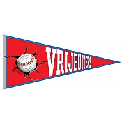 Vrijbuiters Pennant
