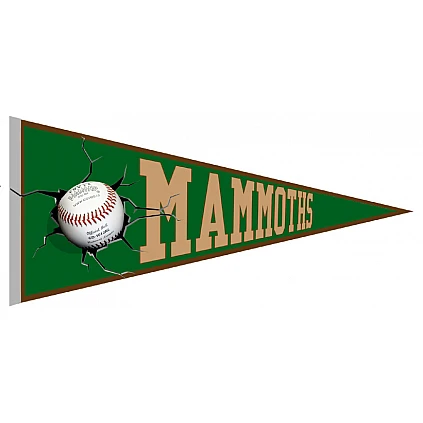 Pennant dei Mammut di Yverdon