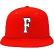 Firehorses Cap