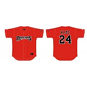 Camisa Dragons Cugnaux, Power