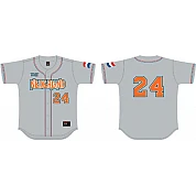 Jersey Netherlands, Athens Olympics, grey