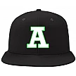 Ashbourne Giants Cap: White/Green