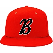 Badgers de Besancon Pet