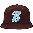 Newton Brewers Cap
