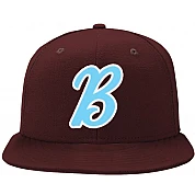 Newton Brewers Cap