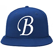 Brawlers Cap