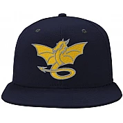 Houten Dragons Cap