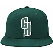 Green Hearts Cap
