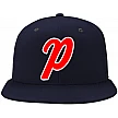 Phoenix Cap