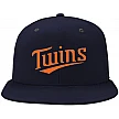 Twins Pet