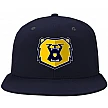 Sheffield Bruins Pet