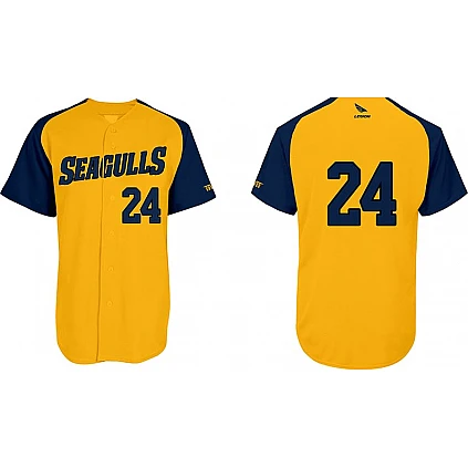 Friesland Seagulls Shirt