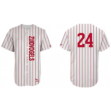 Zuidvogels Shirt: Pinstripe