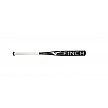 Mizuno Fastpitch Softball Finch -13