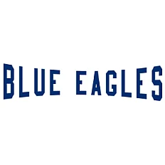 Ricklingen Blue Eagles Fans