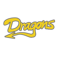Houten Dragons Fans