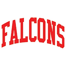 Falcons Fans