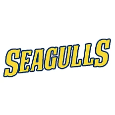 Seagulls Friesland Fans