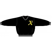 Alphians PolyMicro Pullover Jack