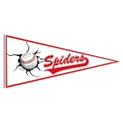 Annecy Spiders Pennant