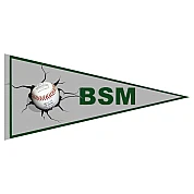 BSM Pennant