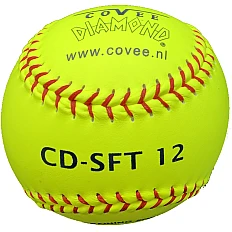CD-SFT-12 Safety (€5,83)