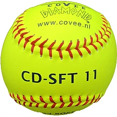 CD-SFT11 Safety (€5,83)