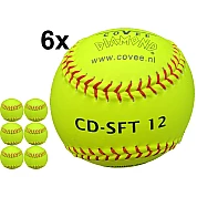 Covee/Diamond SFT-12 Safety  (6)