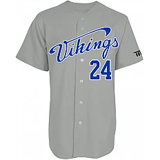 Squadra dei Vichinghi di Chalon