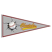 Cheetahs Pennant