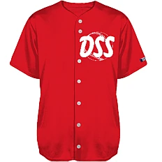 DSS Haarlem Team