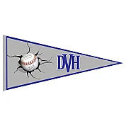 DVH Amstelveen Wimpel