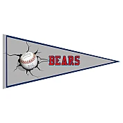 Dornbirn Indians Pennant