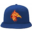 Gorra Firebirds