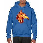 Sudadera Firebirds